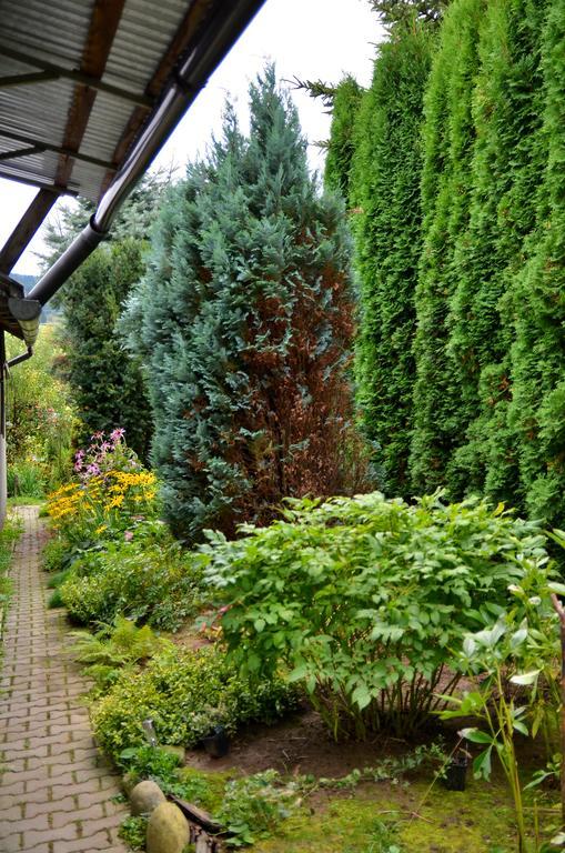 Apartament Karina Tylicz Zewnętrze zdjęcie